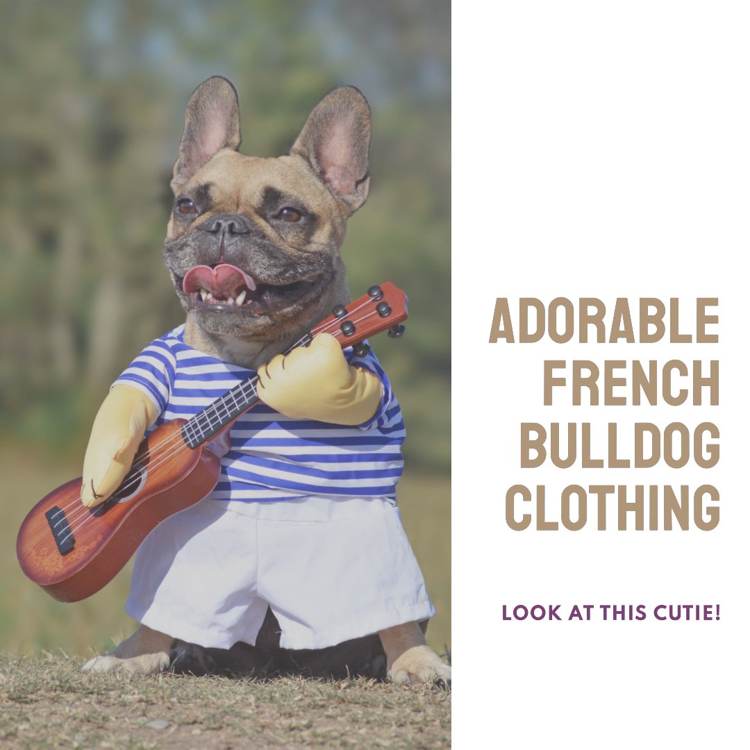 Frenchie bulldog clothes best sale