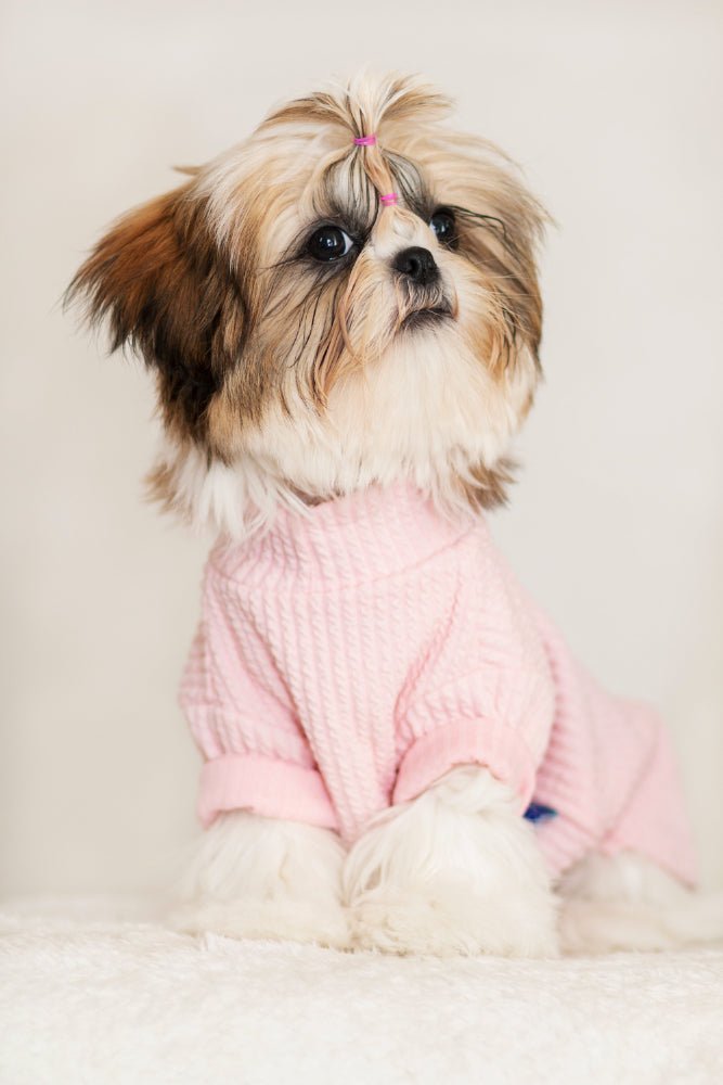 Dog Clothes for Shih Tzus: The Ultimate Guide - Bags to Bones