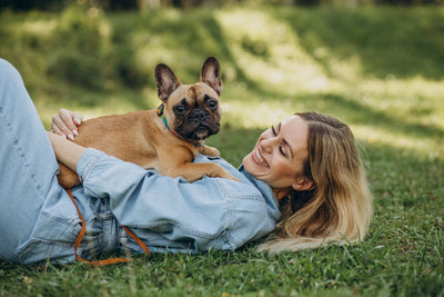 How to Train Your Dog Using Positive Reinforcement Techniques - Bags to Bones