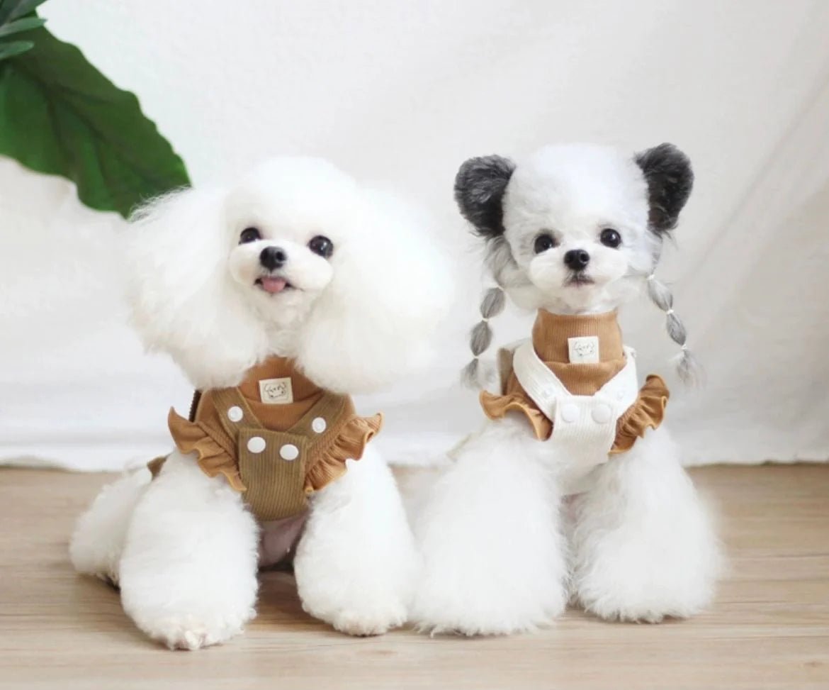 Styling Your Toy Poodle: The Best Clothes for Your Miniature Pup – Bags ...