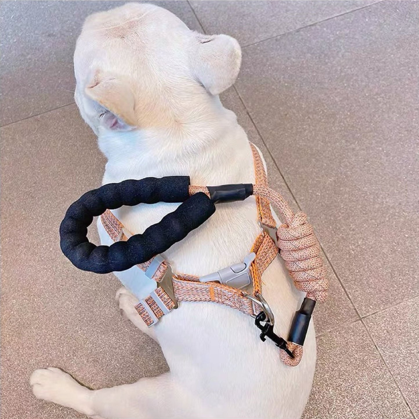 Step-In Comfort Harness for Dogs - Bags to Bones