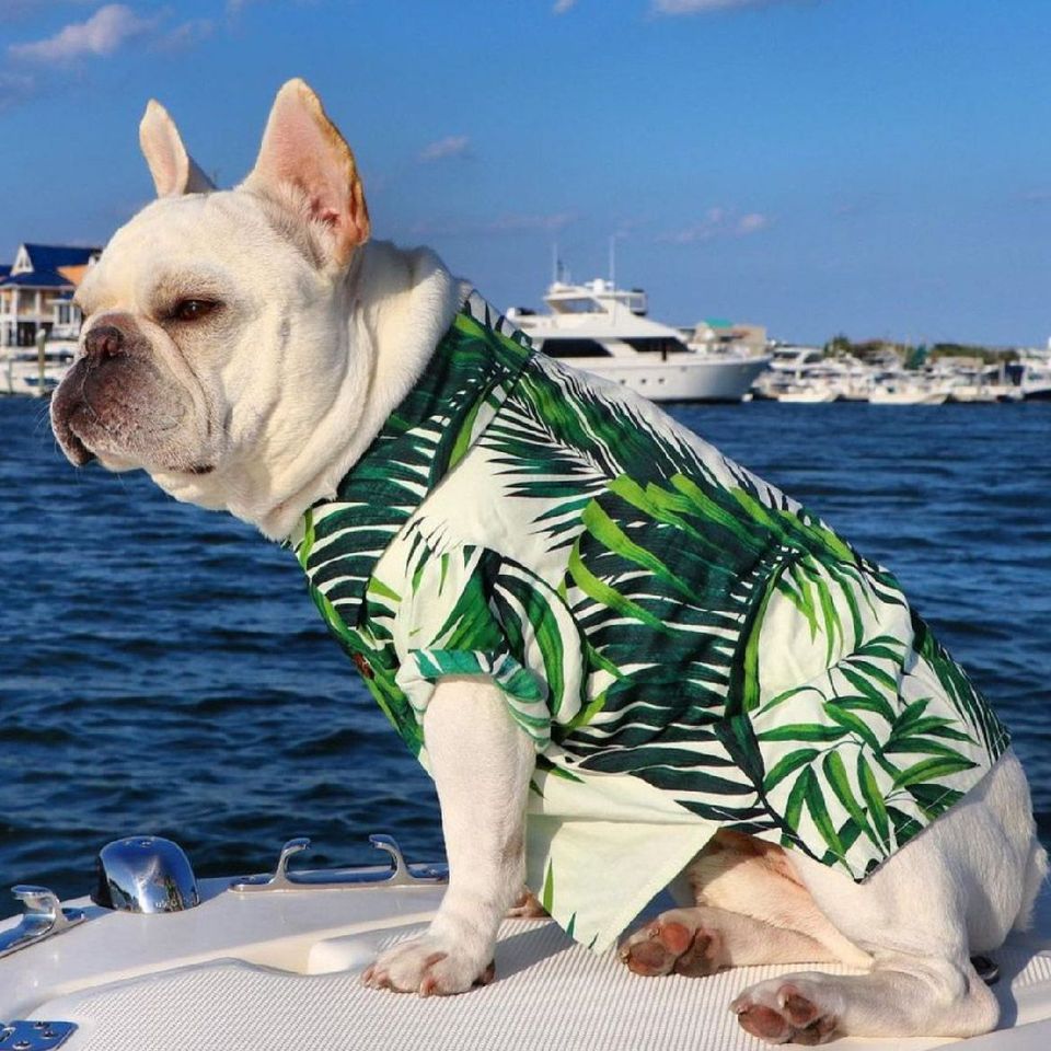 White Hawaiian T-Shirt with Green Palms for Dogs - Bags to Bones