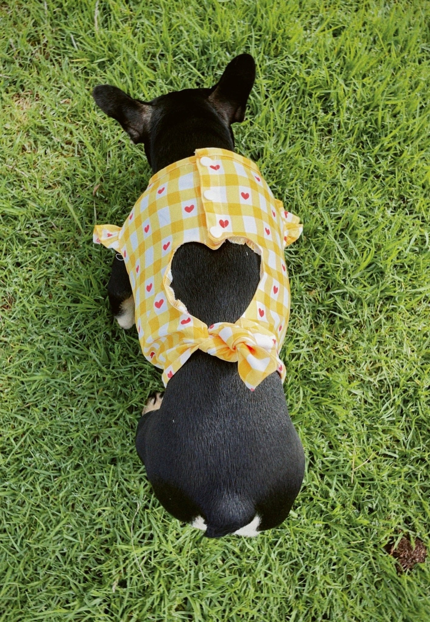 Yellow Heart Tie Dress - Bags to Bones